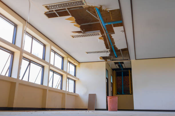 Best Water damage cleanup near me  in Warsaw, NC