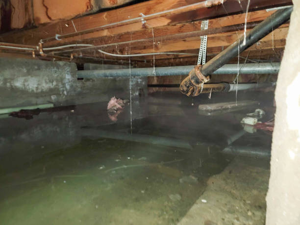 Best Water damage restoration near me  in Warsaw, NC