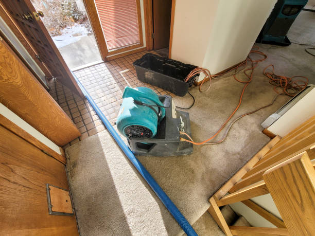Best 24-hour water damage restoration  in Warsaw, NC