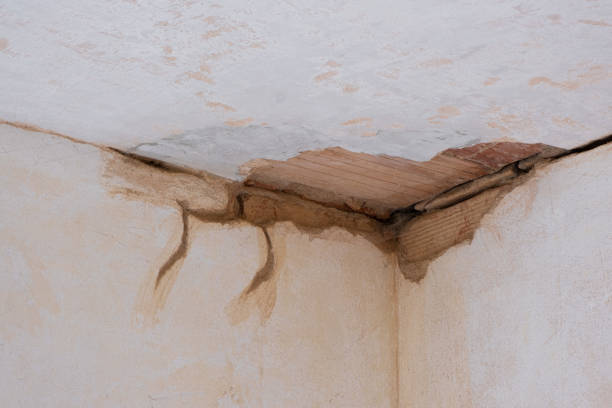 Best Local water damage restoration  in Warsaw, NC