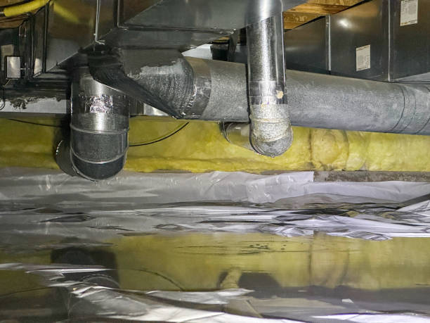 Best Mold removal after water damage  in Warsaw, NC