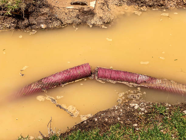  Warsaw, NC Water damage restoration Pros